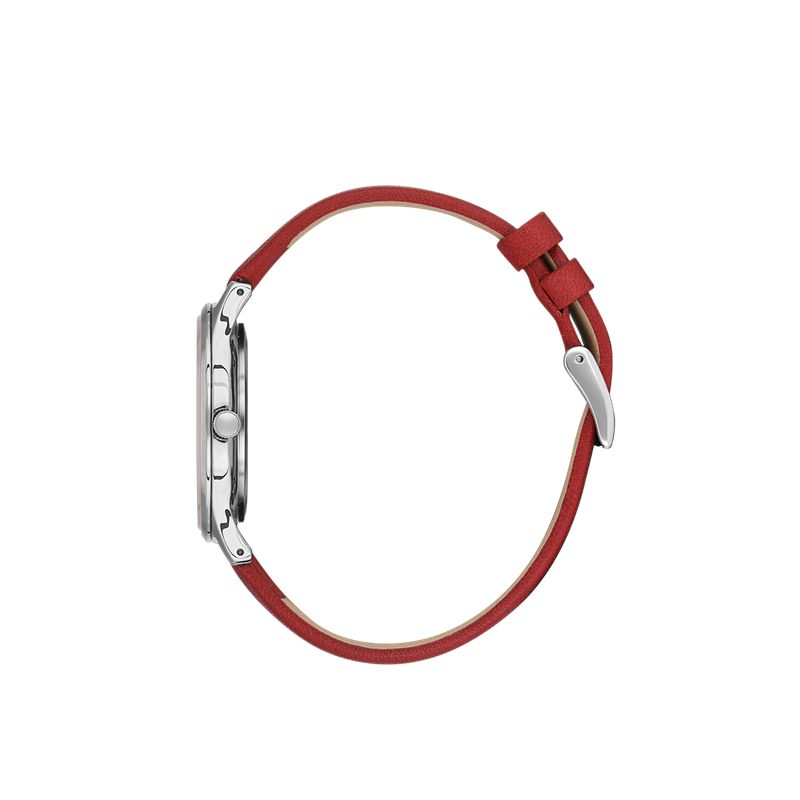 Daniel-Klein-Premium-Silver-Dial-3-Hands-Watch-2_84621a14-a3e2-40f6-b55b-e35fcef77337